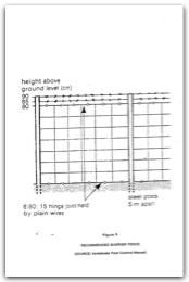 1996 Page 42